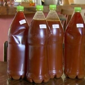 ayahuasca-tea-buy