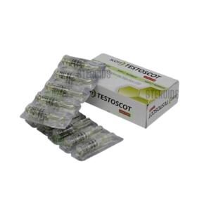 Testoscot 100mg/Ml (10 Ampoules)
