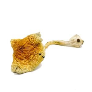 alacabenzi-mushrooms